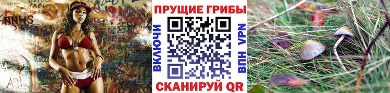 Галлюциногенные грибы Psilocybe  Купить закладки  Чулым 